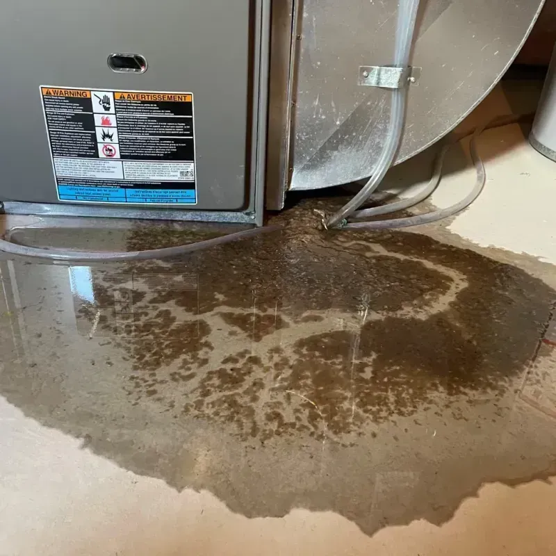 Appliance Leak Cleanup in Ralls, TX